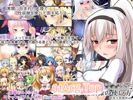 题材隶的正确使用方法-暗黑大陆开拓记 - 正しい题材隷の使い方-暗黒大陸開拓記 - v2.2.0 PC端 汉化版 预览图