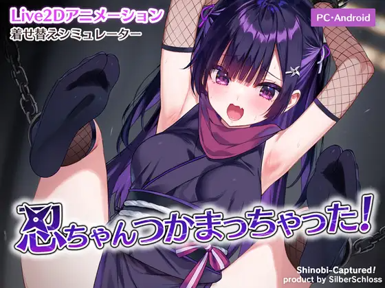 忍ちゃんつかまっちゃった！ 双端 日文原版 预览图