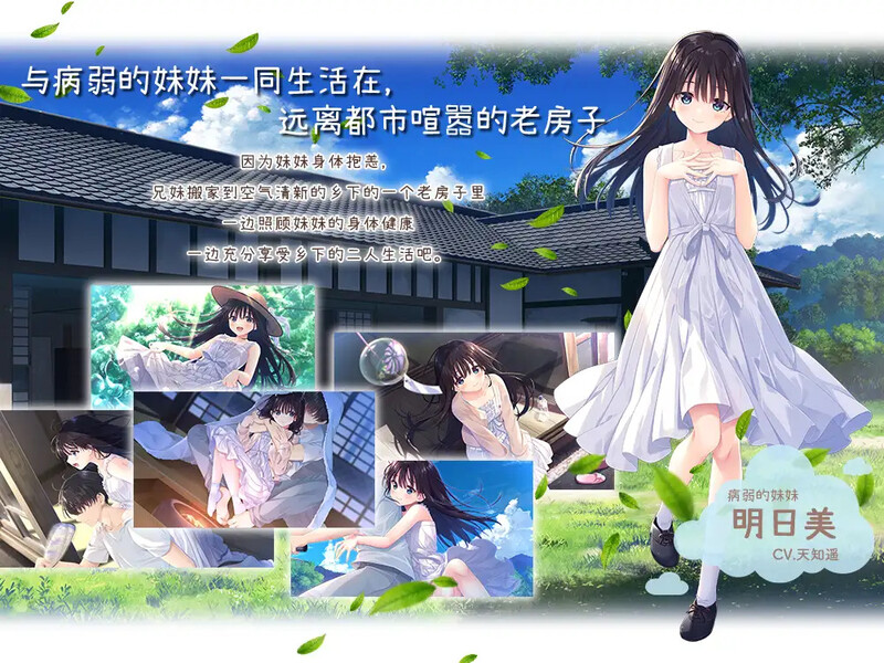 更新[爆款SLG/纯爱/动态] 痴情哥哥与病弱妹妹的乡间生活 エッチで一途なド田舎兄さまと、古式ゆかしい病弱妹 V25.12.01 官中版+[DLC1+2+3 PC端 无码 预览图