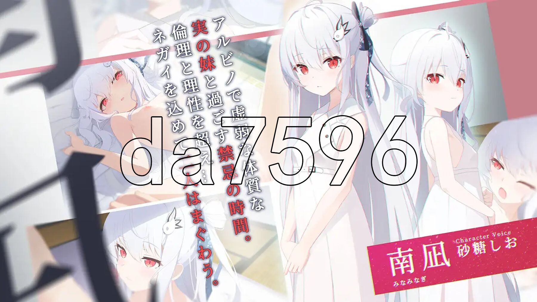 只愿 カタネガイ 精翻I汉化版 PC端 汉化完整版 预览图