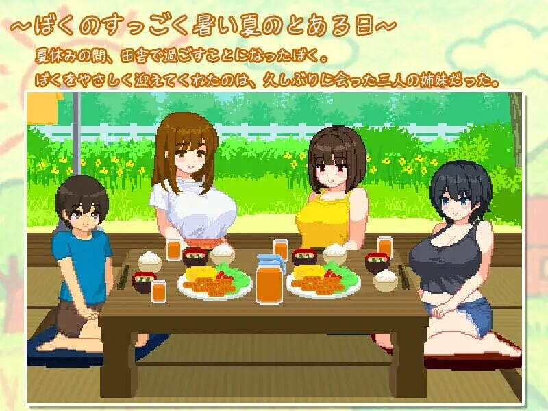 与夏日姐姐们的甜蜜时光 Summer Sisters ぼくと夏のおねえちゃん達 v1.02 PC端 官中步兵 预览图