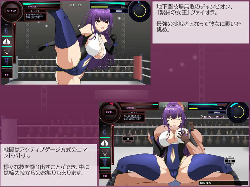 斗技女王薇奥拉（闘技女王ヴァイオラ）V241024 PC端 AI汉化完整版 预览图