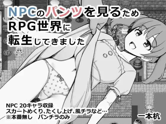 为了目睹NPC胖次而转生到RPG世界的我 NPCのパンツを見るためRPG世界に転生してきました PC端 AI汉化版 预览图