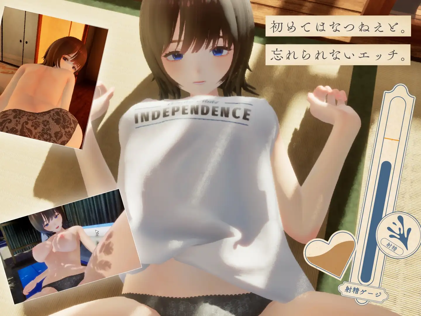 なつねえ ～僕が恋した30日～ v1.1 PC端 AI汉化版 预览图