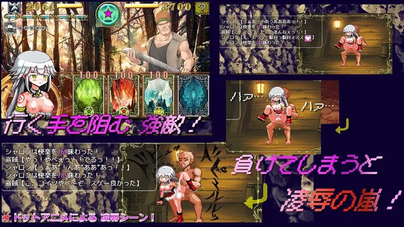白龍の巫女と漆黒の騎士 Ver1.01 机翻汉化 PC端 AI汉化版 预览图