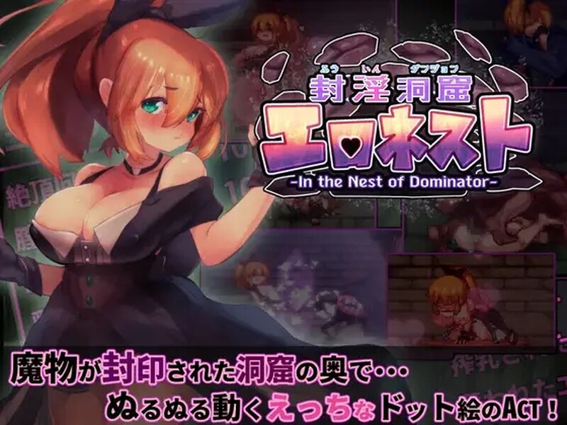 动作ACT/像素全动态2C 封淫洞窟色-情巢穴（封淫洞窟エロネスト）V1.18 DL官方中文版 PC端 官中版 预览图
