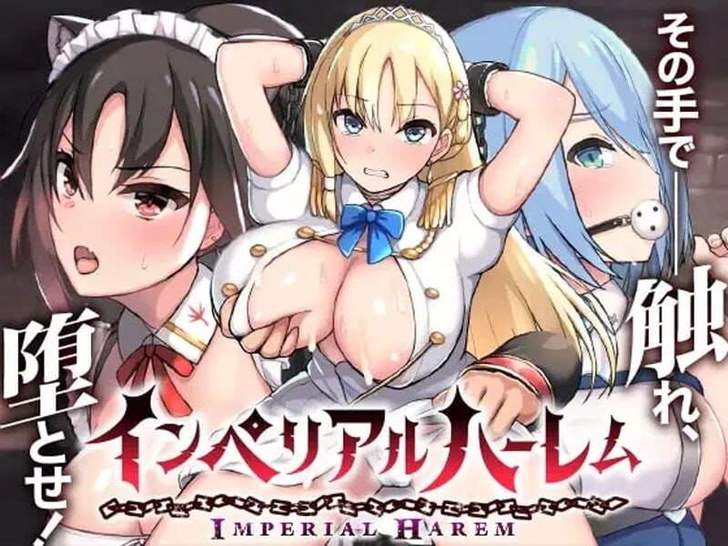 帝国多角色关系计划1.0 官方中文版 v1.0 PC端 官中版 预览图
