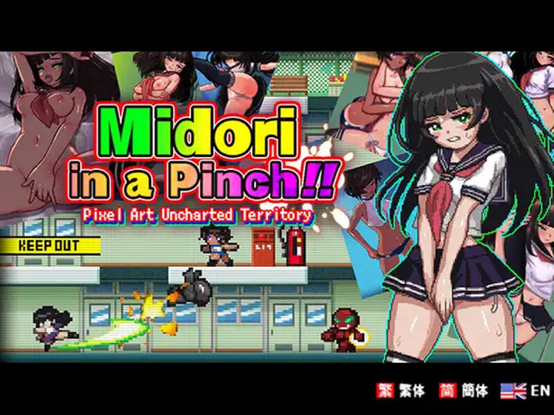 小翠危机重重！像素风外传 V1.0 DL官方中文 PC端 官中版 预览图
